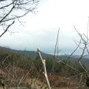 햇터농장 이미지