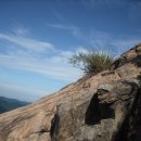 천등산주유소 이미지