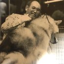 남지애견샵 이미지