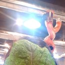 청담진갈비 이미지