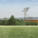 종축농장 이미지