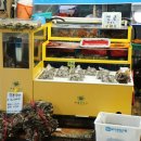 통영오아시스 이미지