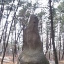 팔봉중학교 Daum카페