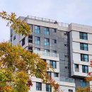 대지 행정사사무소 이미지