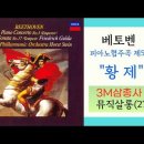 황제살롱 Daum카페