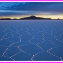 빛과 소금 이미지