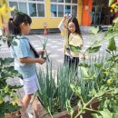 도촌초등학교 이미지