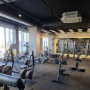 Y GYM 휘트니스 이미지
