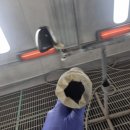 1급믿음자동차공업사 이미지