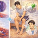 솔잎약국 이미지