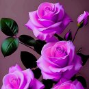 웰빙댄스 이미지