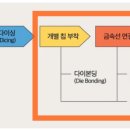 미광 이미지