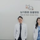 동수원동물병원