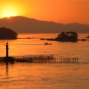 사천온누리약국 이미지