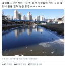 어제 부산 온천천 상황 이미지