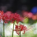 중앙공원 안 이미지