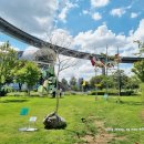 뚝섬한강공원-55 이미지