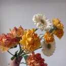 엠에스쇼핑 이미지