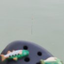 옥녀봉 낚시터 이미지