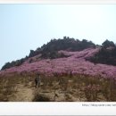 장순목장 이미지