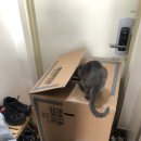 바인커머스 이미지