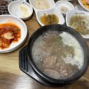 명지초등학교 | [제천맛집] 강제동 한우 맛집 추천, 하진 도축장 정육식당(구 부농 도축장 정육식당)