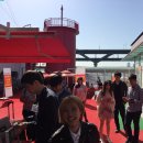 한강오리 이미지