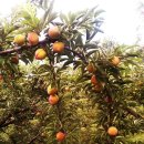 무지개농원 이미지