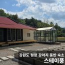 스테이 풍 | 강아지 동반 평창 여행: 강아지 동반 펜션 스테이풍 (숙박 솔직 후기)