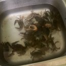 대천1 | 대천해수욕장 해루질 및 1박 2일 여행 후기