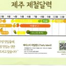 테이스티아일랜드