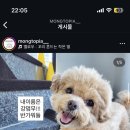 저스트멍토피아 이미지