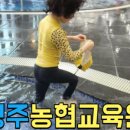경주쇼룸키즈펜션