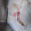 건국동물병원 이미지