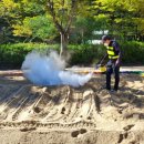 대전지족초교 이미지