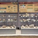 지질박물관 이미지