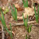 화은농장 이미지