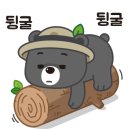 강남짐보리