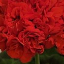 (주)화인 이미지