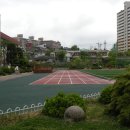 서대전초등학교 이미지