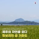 정류장_모슬포 남항 여객선 터미널 | 제주 가파도 청보리 운진항 배시간 예약 할인