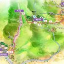 숲속작은개울 이미지