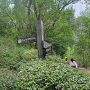 고등산 봉수대 | 서울 안산 봉수대 : 초보도 가능한 쉬운 등산코스 추천(독립문역 출발) 최단코스 가는길 난이도 주차
