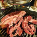늑대식당(미각) 이미지