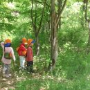 푸른스쿨어린이집 이미지