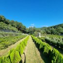 한울목장 이미지