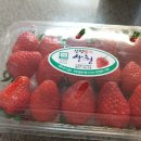 생생1킬로 이미지