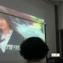 [경기/가평] #2-2 개별수영장 스파 닥터피쉬 이색펜션 (前 귀족펜션) ㅣ 풀빌라앤글램핑랜드 솔직 후기