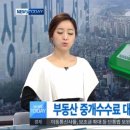 배가부동산중개 이미지