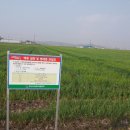 회현농장 이미지